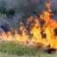 В Украине до 16 сентября объявлен чрезвычайный уровень пожарной опасности