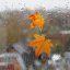 Синоптик: 19 сентября в Украине немного потеплеет, но повсеместно будут идти дожди (КАРТА)