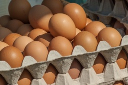 
Куриные яйца в Украине будут продавать по-новому: что изменится
