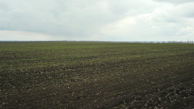 За год количество рейдерских захватов украинских полей увеличилось в 2,5 раза