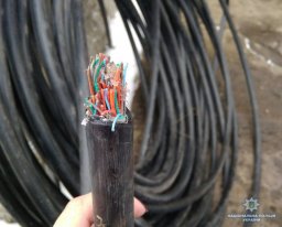Серийных воров телефонного кабеля задержали в Константиновке
