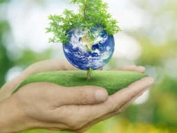 5 июня - Всемирный день окружающей среды (День эколога)