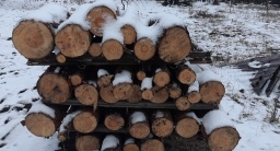 
В Константиновке вновь принимают заявления на получение бесплатных дров
