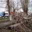 Последствия ураганного ветра в Константиновской и Ильиновской ТГ устраняют в усиленном режиме