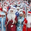 Налоговая призывает «Дедушек Морозов» и «Снегурочек» уплатить налоги