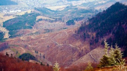 Карпати чи кредити? Європа допомагає знищувати ліси України