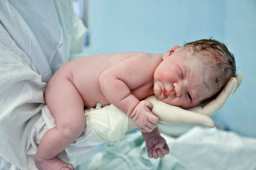 На прошлой неделе в Константиновке родилось 7 младенцев