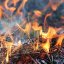 В 7 областях Украины – высокая пожарная опасность