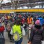 
Украинцы могут бесплатно ездить поездами в Германии: в каких случаях
