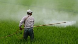 Микроудобрения, пестициды - удобрение и защита растений от вредителей