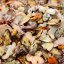 
        В Одесскую область завезли опасные морепродукты из Китая