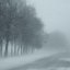 
Осторожно за рулем. Завтра в Украине ожидаются сильные снегопады, дожди и туман
