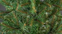 В Украине началась продажа новогодних елок от 60 гривен за метр