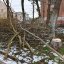 В Константиновке ветви на тротуарах уберут в срочном порядке