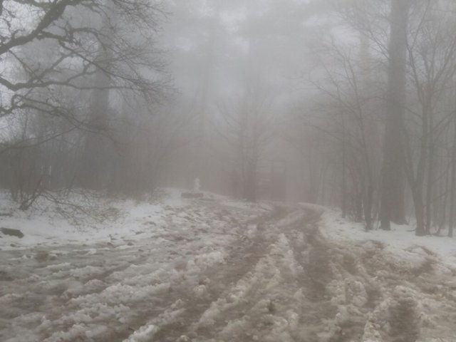 Погода на 14 февраля: на востоке и западе Украины ожидается снег, в других областях - туман