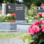 Жесткие меры: В Константиновке будут штрафовать за посещение кладбищ