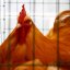 Из-за вспышки птичьего гриппа ЕС временно приостановил импорт куриного мяса из Украины