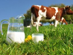 В силу вступили новые требования Минагрополитики к производителям молочной продукции