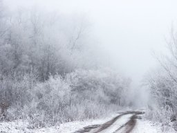 Погода на 16 февраля: в Украине будет снежно, местами - гололед и туман
