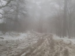 Погода на 14 февраля: на востоке и западе Украины ожидается снег, в других областях - туман