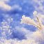 Похолодание и снег: Синоптики дали неутешительный прогноз на выходные