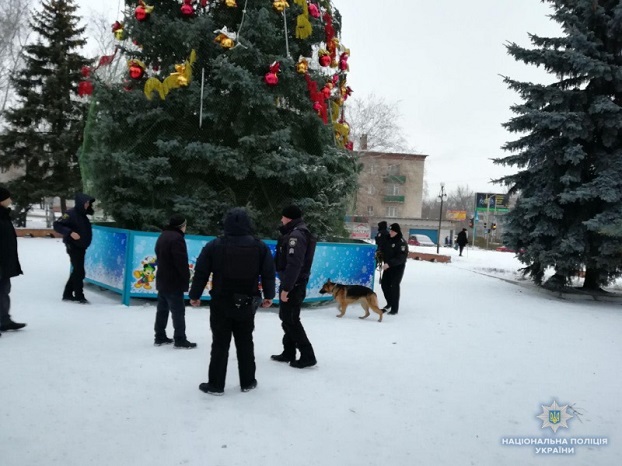 Что полицейские Константиновки искали под городской новогодней елью