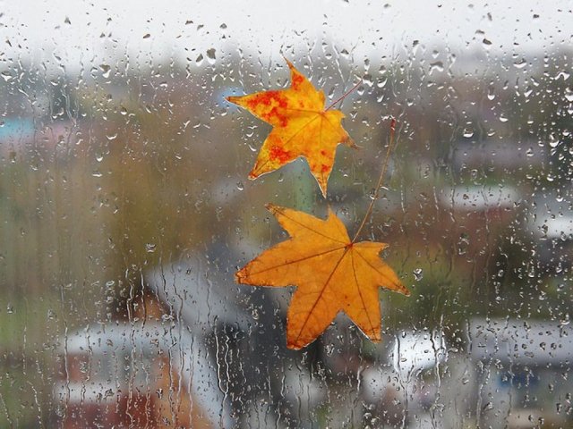 Синоптик: 19 сентября в Украине немного потеплеет, но повсеместно будут идти дожди (КАРТА)
