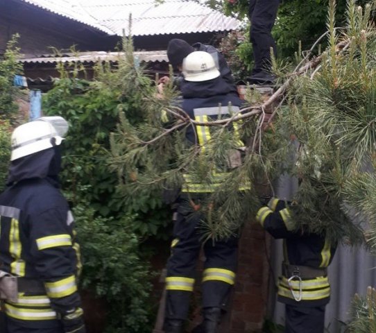 В Константиновке спасатели спустили женщину с крыши дома