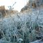 Ближайшей ночью в Украине начнутся заморозки