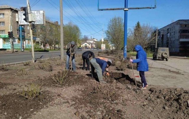 Коммунальщики Константиновки начали высаживать розы на улицах города
