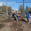 Коммунальщики Константиновки начали высаживать розы на улицах города
