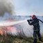 
Поджог сухой травы: украинцам напомнили о штрафах
