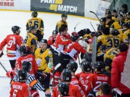 Появилось видео массовой драки на хоккейном матче в Дружковке (ВИДЕО)
