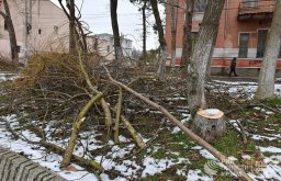 В Константиновке ветви на тротуарах уберут в срочном порядке