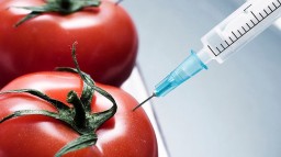 В Украине резко выросло количество генетически модифицированных продуктов питания
