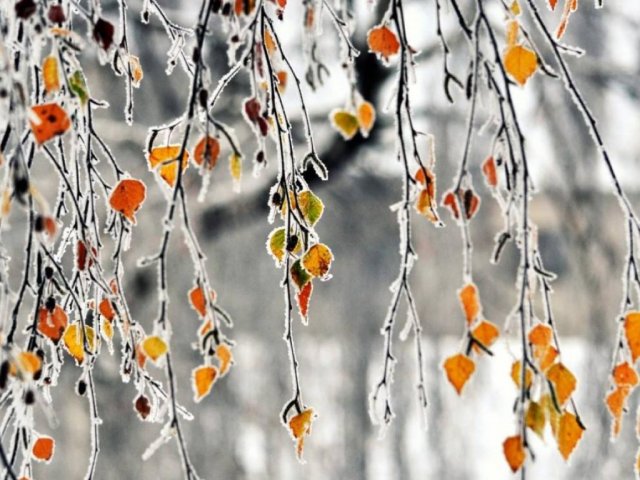Погода на 7 декабря: в Украине потеплеет до +10 градусов