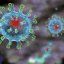 В Украине резко уменьшился суточный прирост больных коронавирусом
