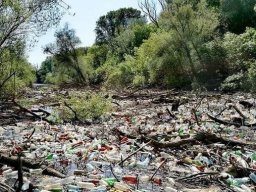 Катастрофа: украинский мусор заблокировал реку в Словакии (ФОТО, ВИДЕО)
