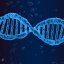 25 апреля - Международный День ДНК