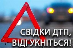 Полиция Константиновки разыскивает свидетелей аварии, в которой погиб человек