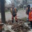 В Константиновке коммунальщики дружно листья убирают