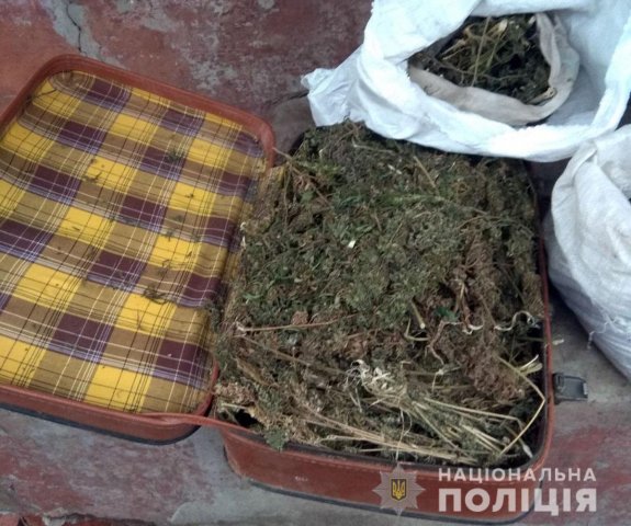 Оперативники Константиновки изъяли у мужчины около восьми килограммов конопли