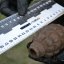 В Константиновке на школьном дворе найдена граната