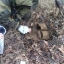За сутки в Донецкой области стражи дорог дважды обнаруживали боеприпасы