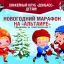 Новогодний марафон ДЮСШ ХК «Донбасс» на Альтаире