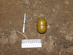 Спецоперация: За сутки правоохранители Донетчины 10 раз изымали боеприпасы
