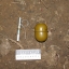 Спецоперация: За сутки правоохранители Донетчины 10 раз изымали боеприпасы