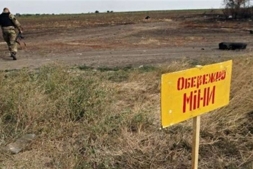 В Константиновском районе нашли минометную мину