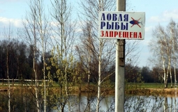 1 апреля в Украине стартует нерестовый запрет на вылов рыбы