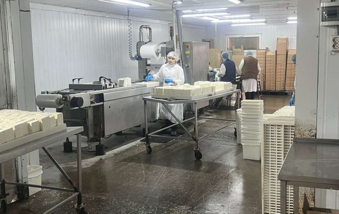 Сыроварное предприятие в Константиновке производит более 30 тонн продукции в месяц
